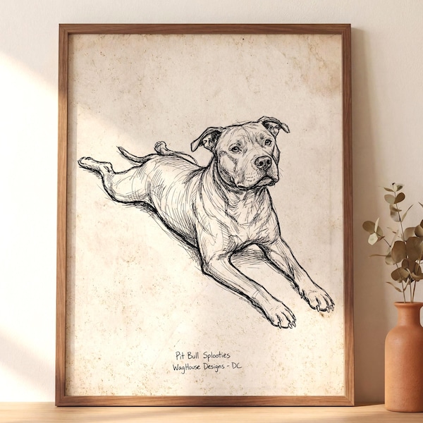 Pit Bull Sploot Print - Vintage Dog Sketch Wall Art, Unframed