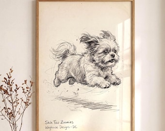 Affiche Shih Tzu Zoomies - Croquis vintage de chien en pleine course