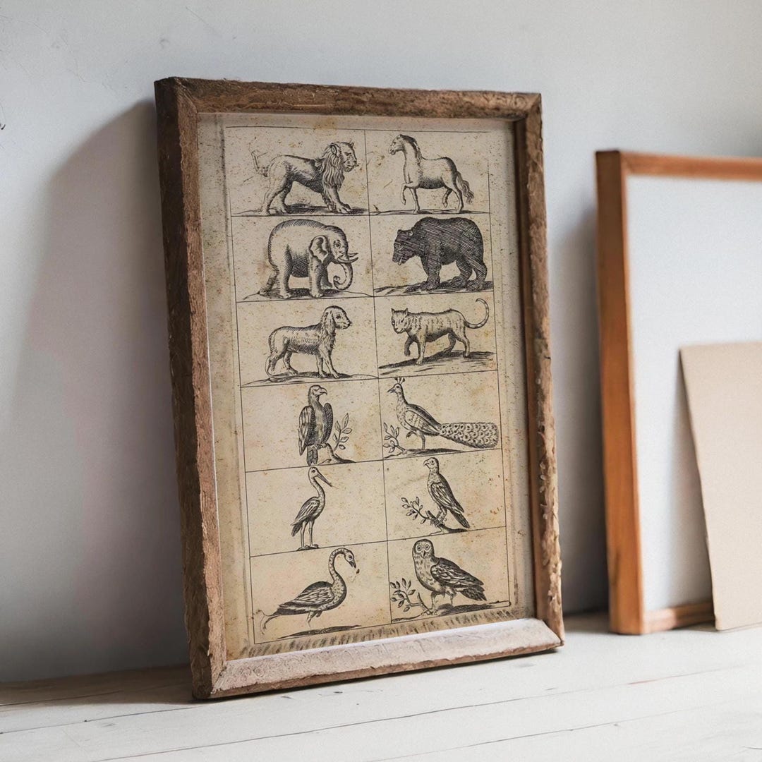 Antique Animal Engraving Print: Lion, Elephant & Exotic Birds - Etsy