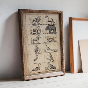 Antiker Tiergravurdruck - Vintage-Zoologisches Plakat des 18.Jahrhunderts mit Löwe, Elefant und exotischen Vögeln, Naturgeschichte Kunst