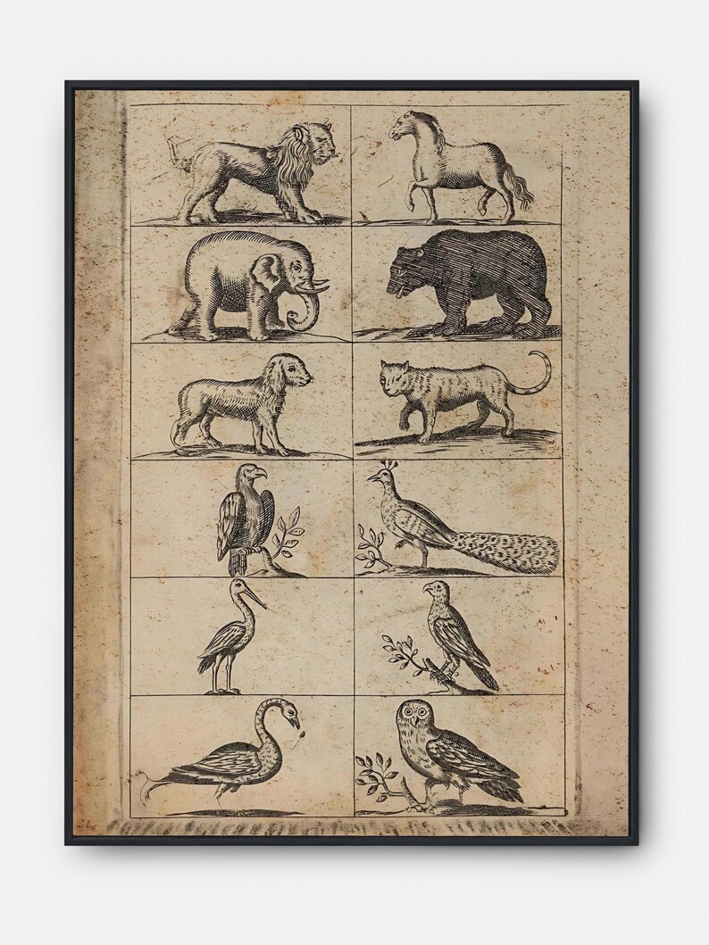 Antique Animals Engraving Print – Lion, Elephant, Horse, Dog, Cat ...
