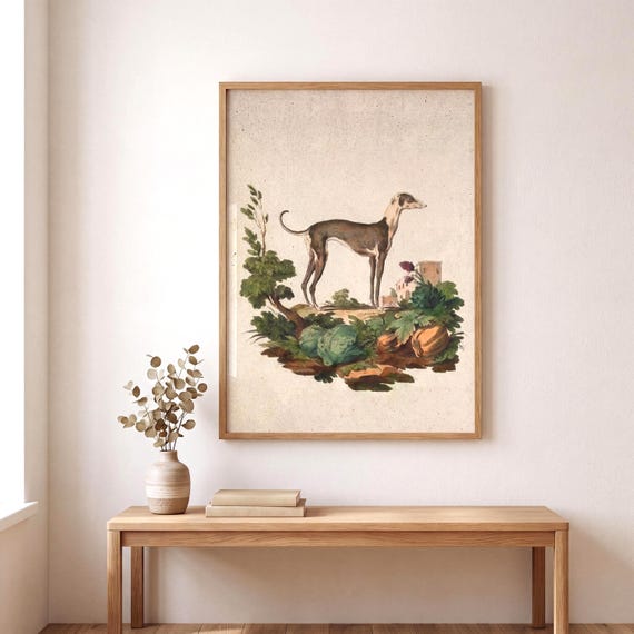 Greyhound Art Print - Vintage Dog Portrait Wall Art