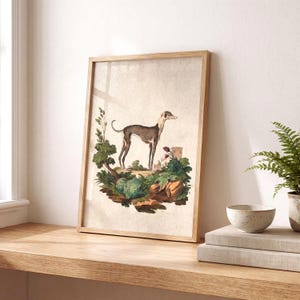 Greyhound Art Print - Vintage Dog Portrait Wall Art image 6