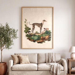 Greyhound Art Print - Vintage Dog Portrait Wall Art image 8