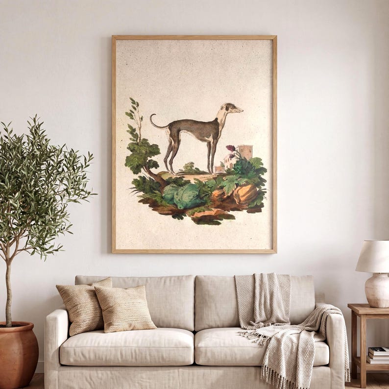 Greyhound Art Print - Vintage Dog Portrait Wall Art image 8