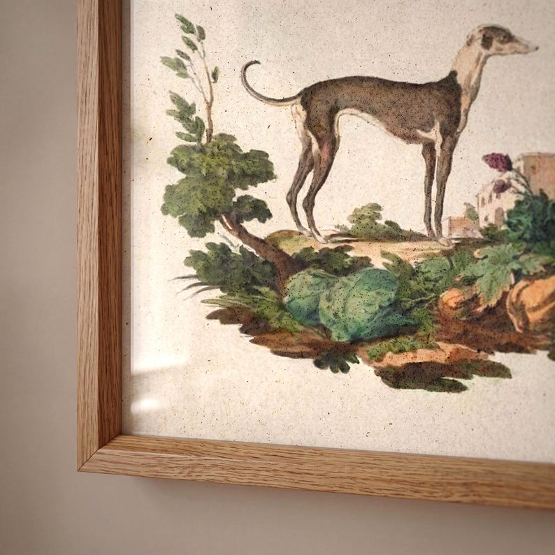 Greyhound Art Print - Vintage Dog Portrait Wall Art image 3