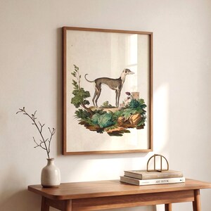 Greyhound Art Print - Vintage Dog Portrait Wall Art image 7
