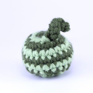 May include: A handmade crochet ball in shades of green. The ball has a striped pattern with alternating bands of light and dark green. A small, curled stem extends from the top, also in dark green.