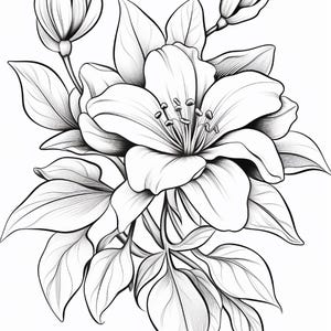 Floral Coloring Pages Printable | Digital Coloring Book for Adults | Relaxing Art Therapy Sheets