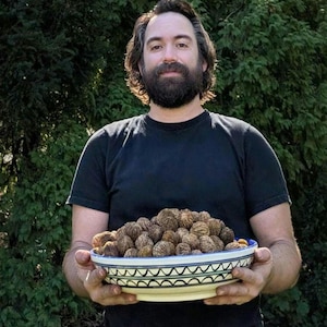 以下が含まれることがあります： 茶色のクルミがいっぱい入った、大きく丸い装飾的なボウルを人が持っています。ボウルの縁には白と青の模様があります。背景は緑豊かな生け垣です。