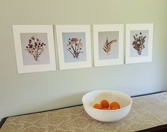 Dried flower set of 4 art prints 11x14 for room decor (#5)