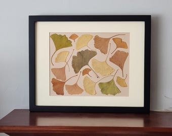 Pressed Ginkgo biloba leaves art 11x14 original. Dried botanical artwork (#22)