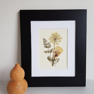 Pressed flower art 8x10 ORIGINAL one of a kind artwork (#24)