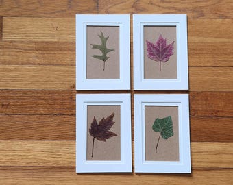 Original real pressed leaves 5x7 (set of 4 unframed) - Botanical Wall Art (#21)