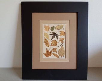 Real pressed leaves ORIGINAL 8x10 artwork (#37)