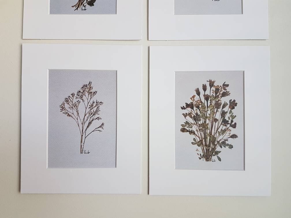 Pressed Flower Art Prints. Set of 4 Prints 8x10 Matted From - Etsy