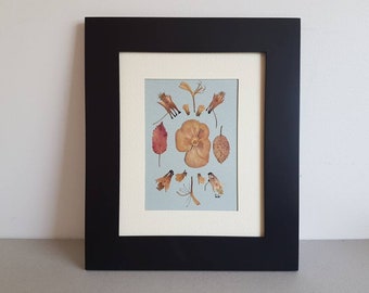Dried flower 8x10 original artwork (#47)