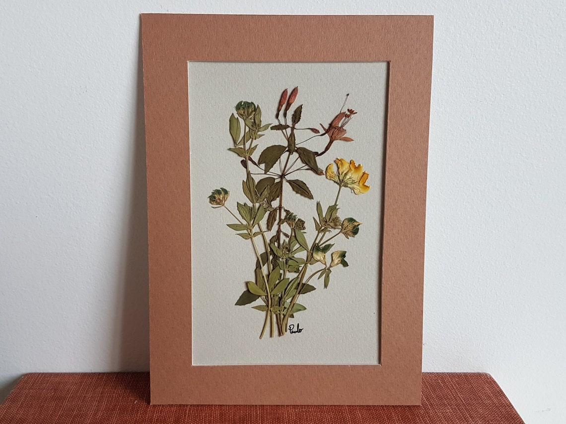 Pressed Flower Art 5x7 Matted ORIGINAL Pressed Flowers Etsy
