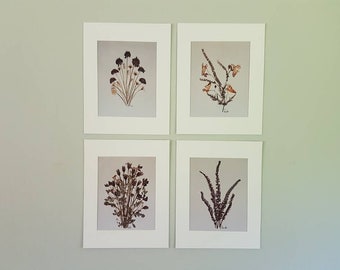 Pressed Flower 11x14 Art Prints (set of 4) (#3)