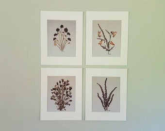 Pressed Flower Art Prints (#3)