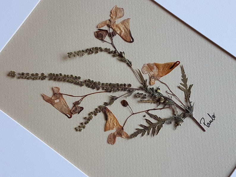 Pressed Flower Art 8x10 Matted ORIGINAL One of a Kind Pressed Etsy