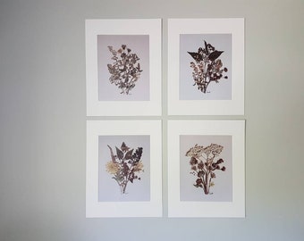 Driedflowers compositions. Flower artwork print set  (#6)
