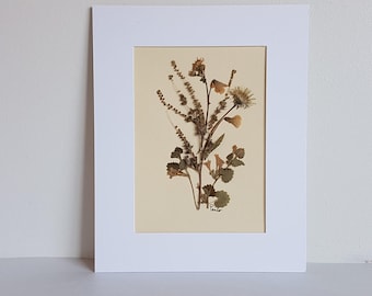 Dried flower artwork 8x10 made w/ real dried flowers (#6)
