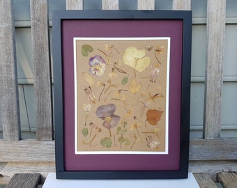 Pressed dried flower art ORIGINAL Botanical 11x14 artwork (#21)