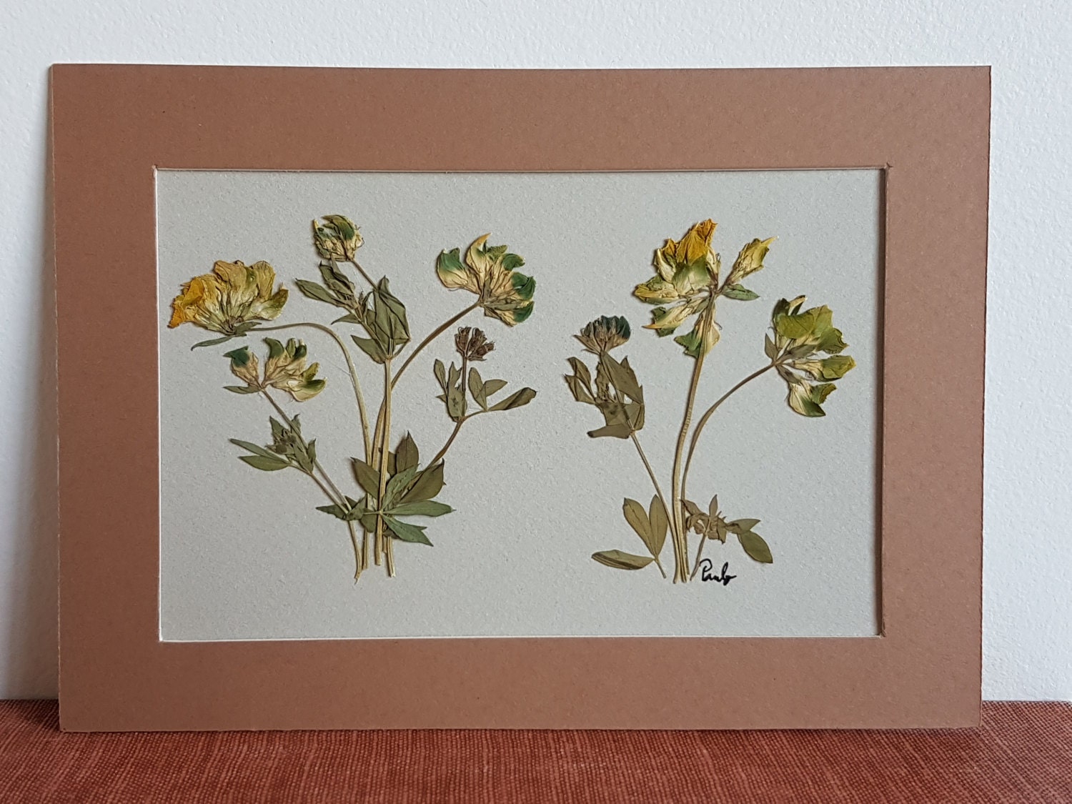 Dried flower art 5x7 matted ORIGINAL pressed wild flowers | Etsy