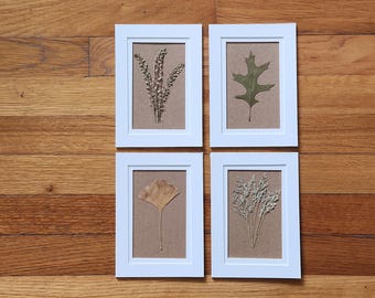 Set of 4 Pressed Flower Art Originals – Real Dried Botanical Wall Decor 5x7 (#19)