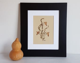 Pressed Flower Art 8x10, Original Botanical Artwork (#30)