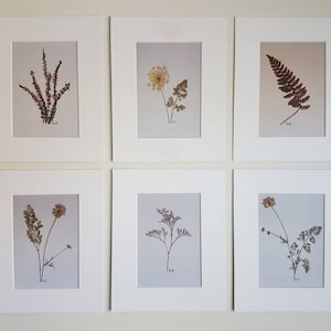 Floral compositions set of 6 printed artwork 8x10 inches (#7)