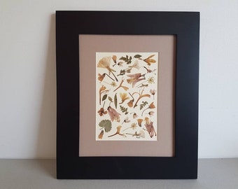 Handmade botanical wall decor 8x10 original one-of-a-kind real dried flowers and leaves (#46)