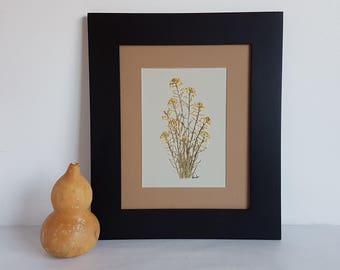 Yellow Flower Art: 8x10 Pressed Wildflower Botanical Artwork