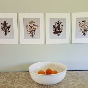 Dried Flowers Art Prints. Set of 4 prints 11x14 (#7)
