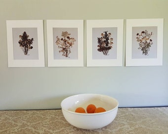 Dried Flowers Art Prints. Set of 4 prints 11x14 (#7)