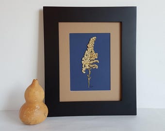 Original Pressed Flower Art: 8x10 Botanical Fern Artwork