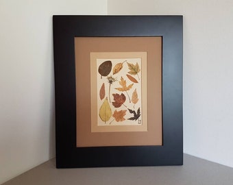 Real dried leaves art work 8x10 ORIGINAL one of a kind (#36)