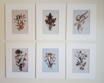 Dried flowers 8x10 artwork prints (Set of 6) (#8)
