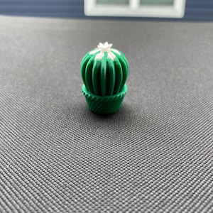 Passthrough Fidget - 3D Printed Handheld Pocket Size Toy, Cactus Figure Stress Relief Gift, Portable Sensory Tool, Mini Fidget , Fidget Gift