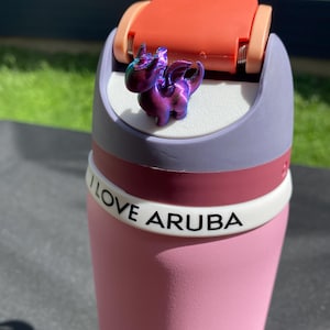 Owala Topper Dragon Water Bottle Accessory Gift for Friend Fourth Wing inspiration Lover Gift Personalized Owala
