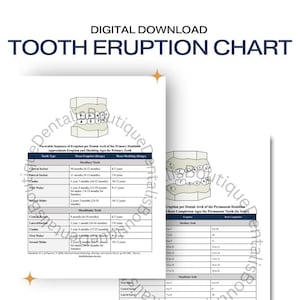 Hoja de referencia para el estudio de la higiene dental, gráfico de la erupción de los dientes, guía de referencia rápida de obsequios para estudiantes de higienistas dentales, descarga digital dental