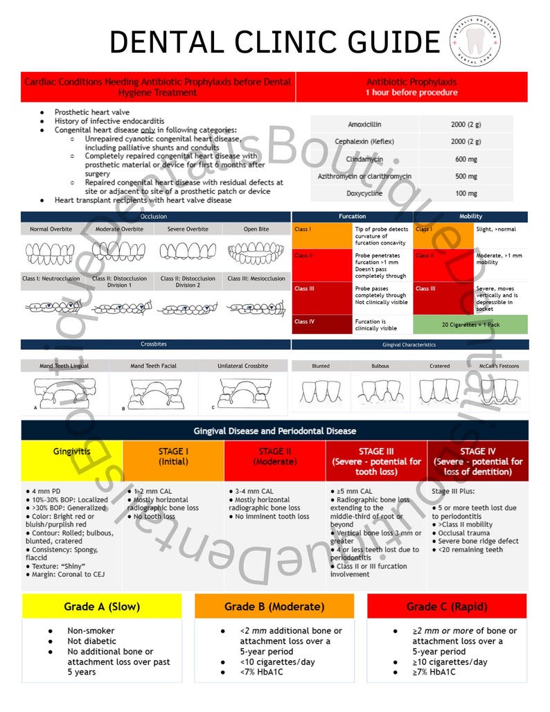 Prophy Chart Note Dental Hygiene Study Cheat Sheet Dental Hygienist Student Gift Quick ...