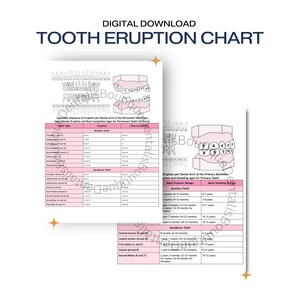 Guía rápida para el estudio de la higiene dental: tabla de erupción dental, regalo para estudiantes de higiene dental, guía de referencia rápida, revisión de la pizarra digital dental