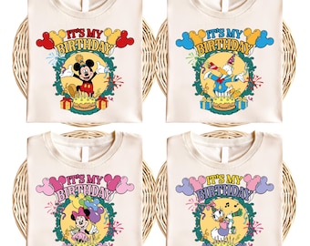 Mickey & Friends Birthday Shirt, Disney It's My Birthday T-shirt, Mickey and Friends Birthday Party Sweatshirt, Disneyland Family Trip Tee