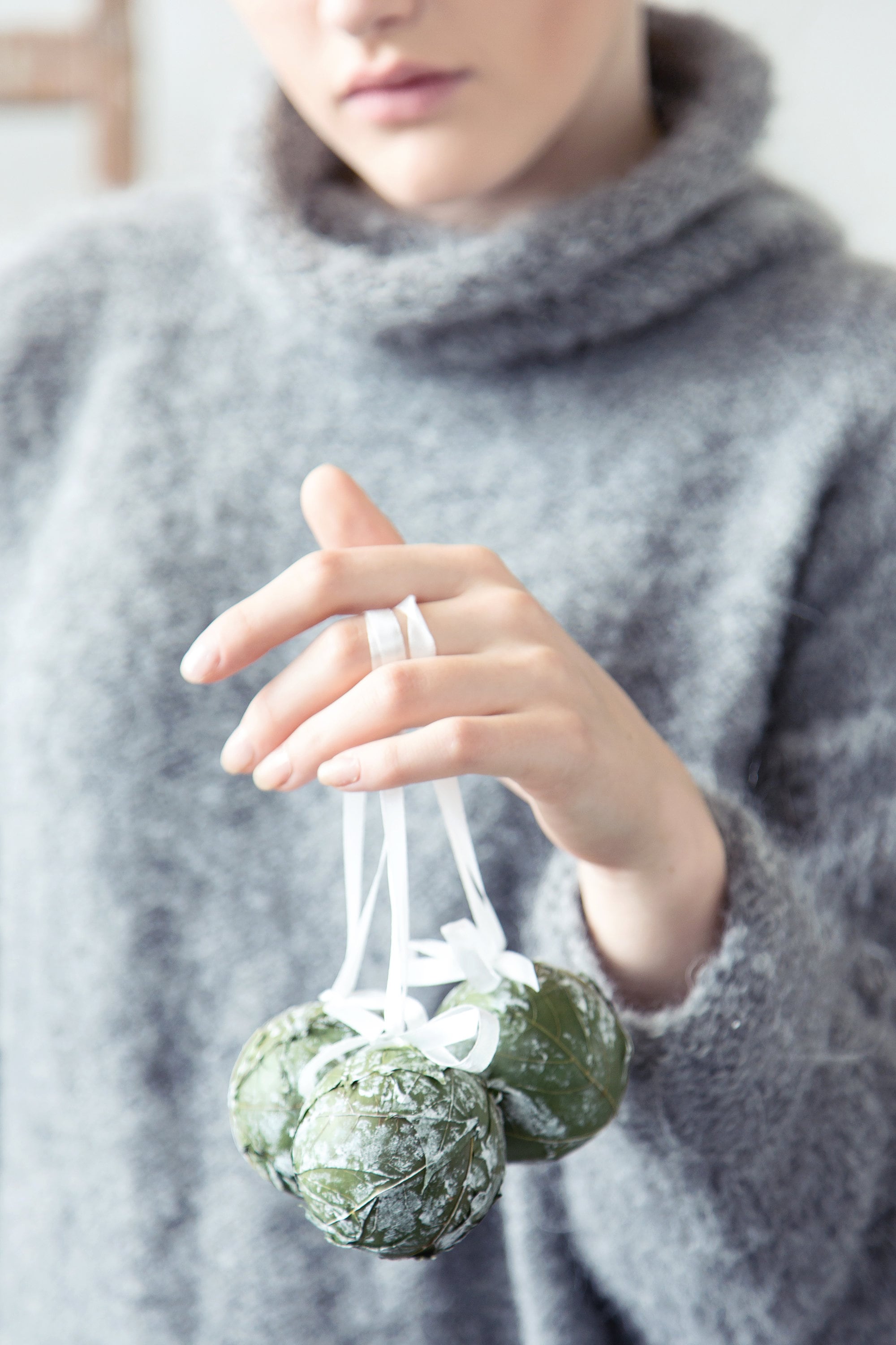 Ornements Naturels de Noël, Ornements Givrés, Décoration Naturelle Noël