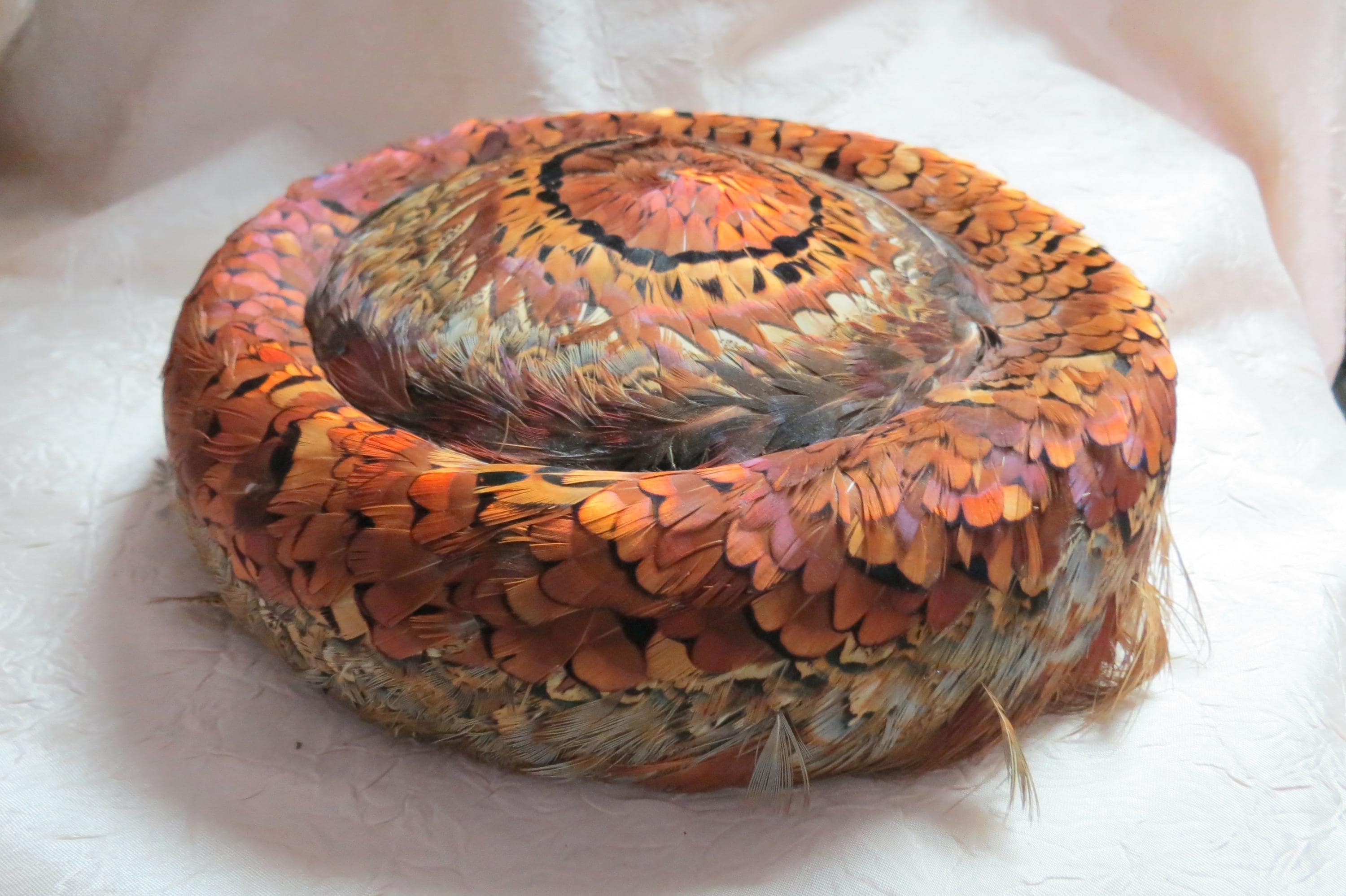 Vintage Haverhill Bradford Corp Feather Hat, Union Made  display picture 2