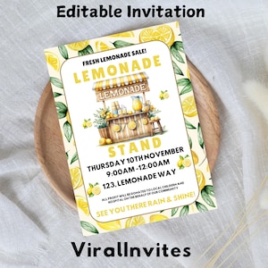 Editable Lemonade Stand Signage Template | Lemonade stand poster | Printable summer fundraiser flyer | Canva Template | Instant Download