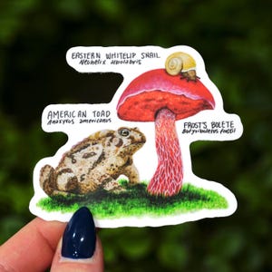 May include: A sticker featuring an illustration of an American Toad, a Frost's Bolete mushroom with a white-lipped snail on top, and the scientific names of each species. The toad is brown with dark spots and is sitting on green grass. The mushroom is red with a white stem and is growing out of the grass. The snail is white with a brown shell.
