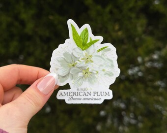 American Plum Clear Sticker - thick, high-quality vinyl, dishwasher tested, scratch and fade resistant, waterproof sticker
